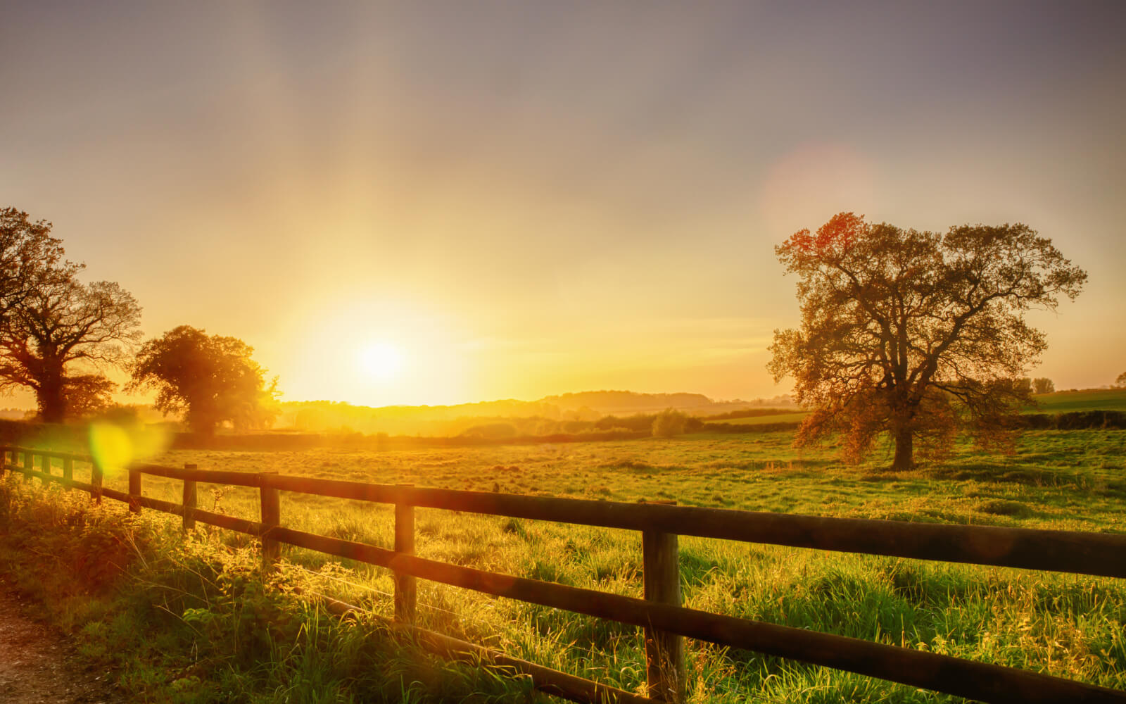 Norfolk Holiday Cottages