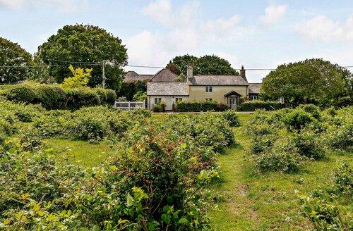 Last Minute Cottages - 1 Bed Cottage in Sway