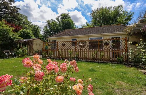 Last Minute Cottages - Little Timbers